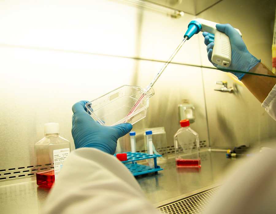 Biotechnologie et pharmaceutique